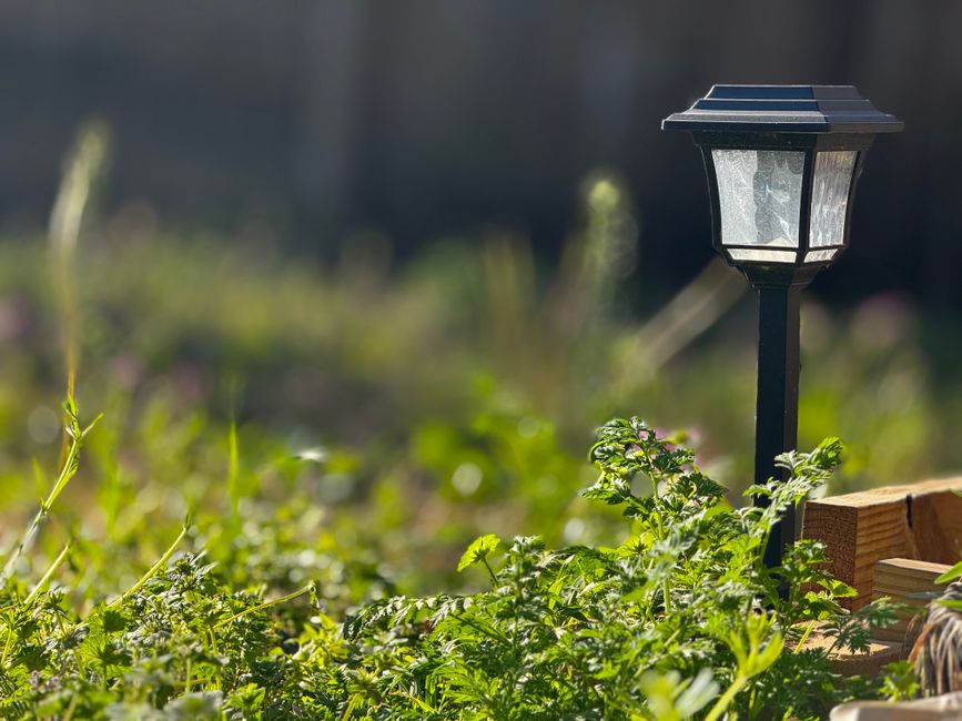 Solarna vrtna rasvjeta